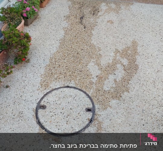 מכסה ביוב על שביל עם צמחייה מסביב